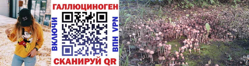 Галлюциногенные грибы MAGIC MUSHROOMS  Ивантеевка 