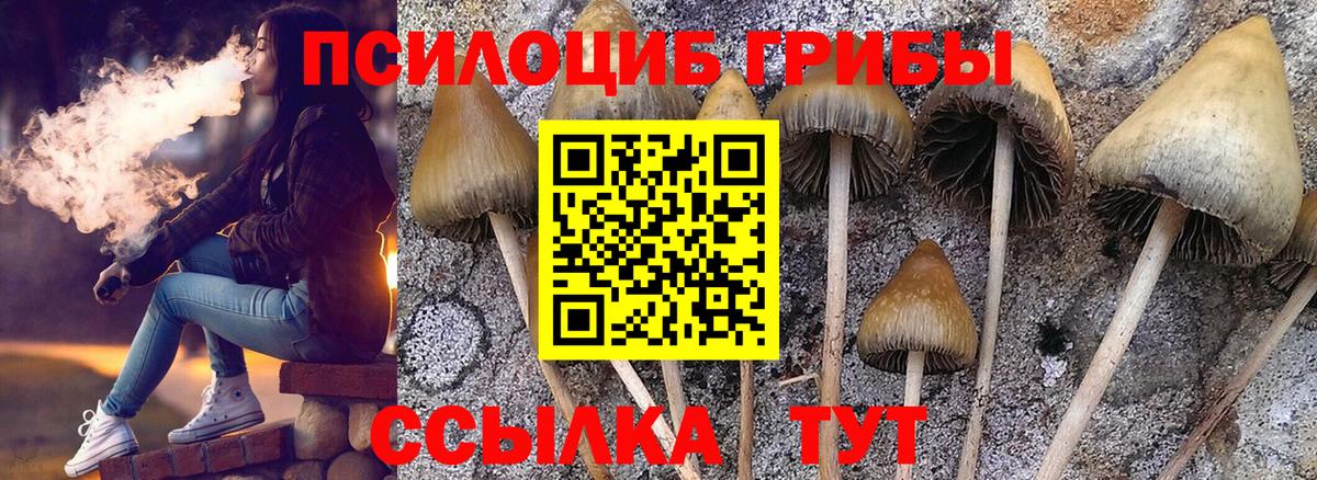 Галлюциногенные грибы Psilocybine cubensis Ивантеевка